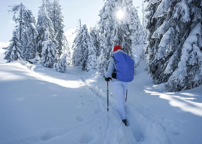 Feriepark Blauer Vogel - Kostenfreie Saunanutzung